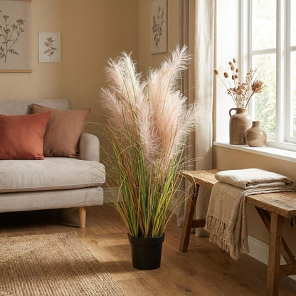 Designpflanze Phragmites Gras