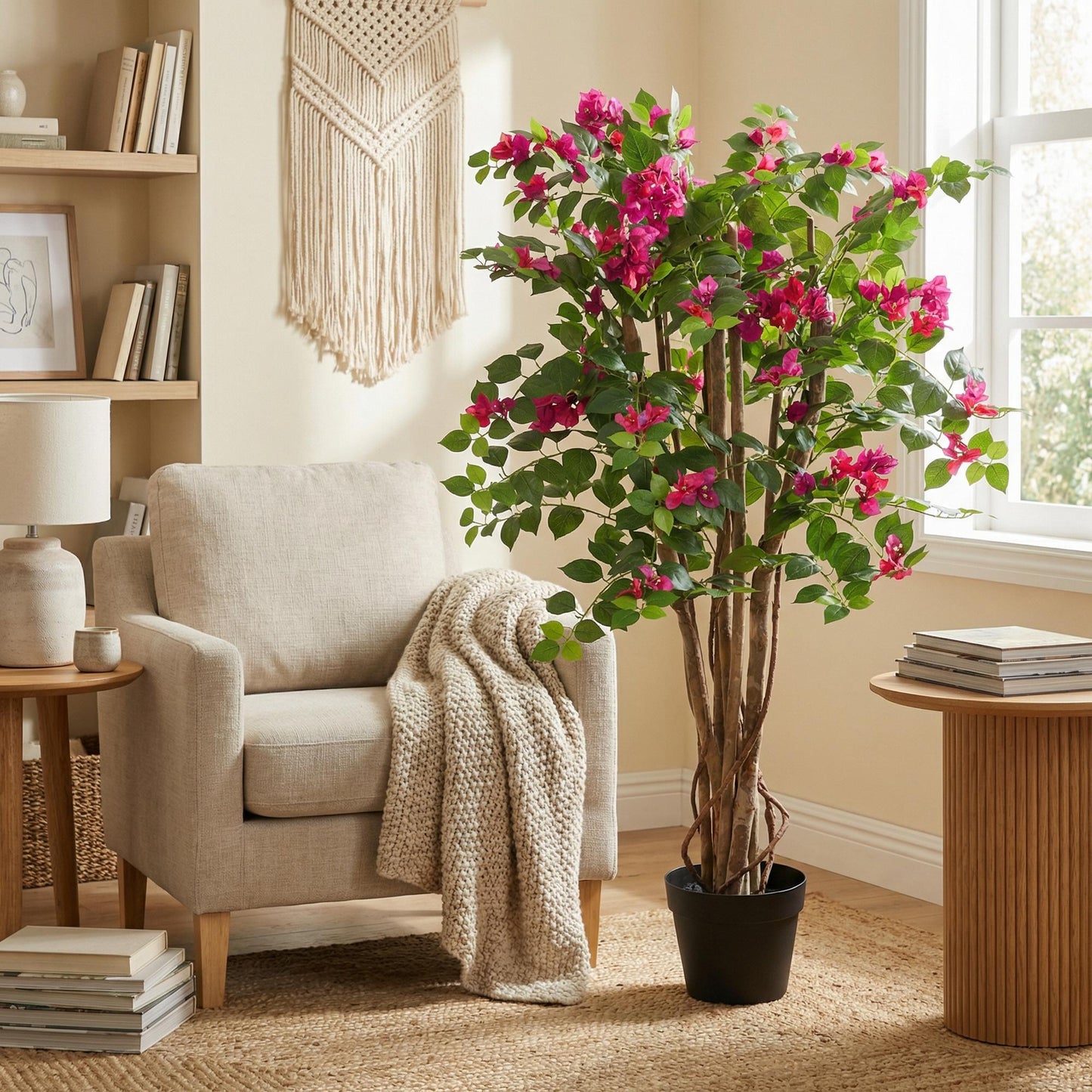 Designpflanze Bougainville