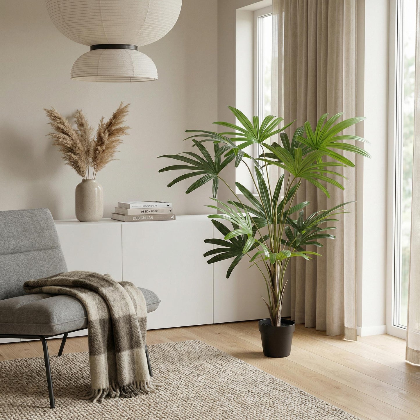 Designpflanze Rhapis Excelsa Fächerpalme