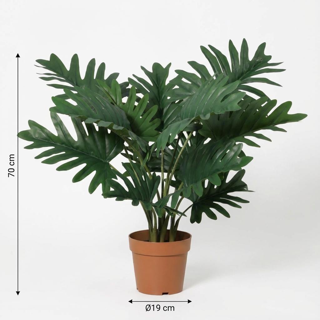 Designpflanze Philodendron Selloum