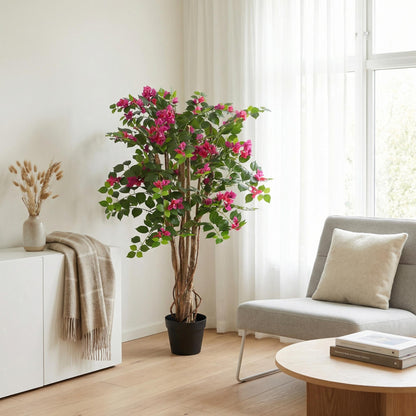 Designpflanze Bougainville