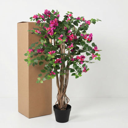 Designpflanze Bougainville