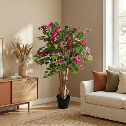 Designpflanze Bougainville