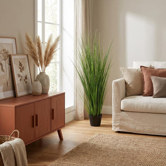 Designpflanze Zwiebelgras