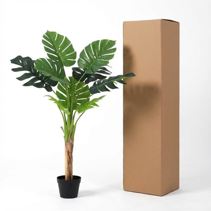 Designpflanze Monstera Deliciosa